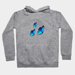 Butterfly Hoodie